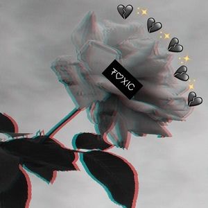 Meet your Posher, Michell